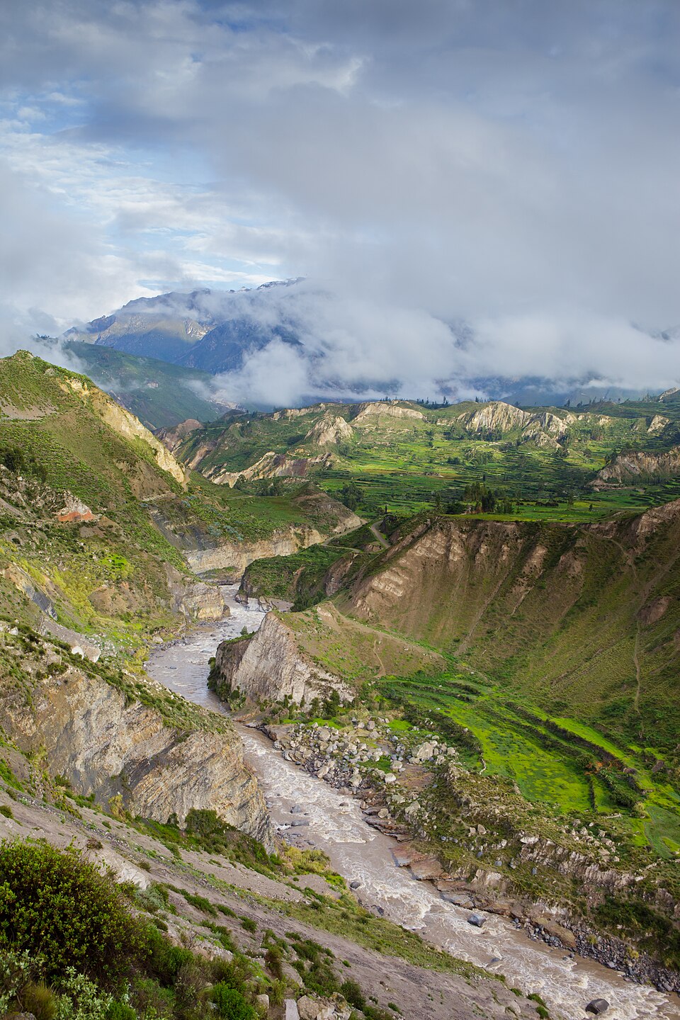 Cañón del Colca, Arequipa